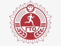 Тестирование Всероссийского физкультурно-спортивного комплекса «Готов к труду и обороне» в центре детского творчества п. Умба)