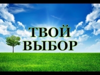 Тренинговое занятие «Твой выбор» и Марафон здорового питания "Про еду"