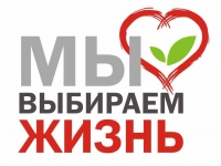 26 июня специалисты Молодёжного арктического пространства Кандалакша провели для ребят игру-викторину «Мы за жизнь без наркотиков»