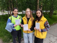 В Кандалакше прошла городская акция "Жизнь вне зависимости"