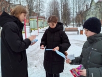 Специалисты Молодёжного Центра «Сопки» Кандалакши активно поддержали акцию «Декада «SOS».