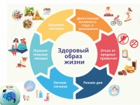 МАРШРУТ ЗДОРОВЬЯ