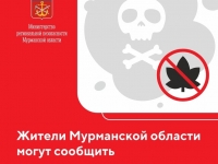 Вместе боремся со злом! Увидели наркограффити – сообщите об этом