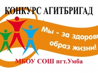 Увлекательный конкурс агитбригад «Мы за ЗОЖ» прошел в школе пгт. Умба