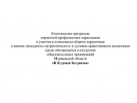 Комплексная программа первичной профилактики наркомании "В будущее без рисков"